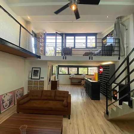 Rare ! LOFT Atypique Centre-Ville Parking Jardin-2
